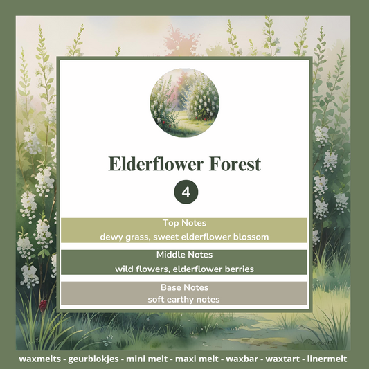 Waxmelts - Elderflower Forest