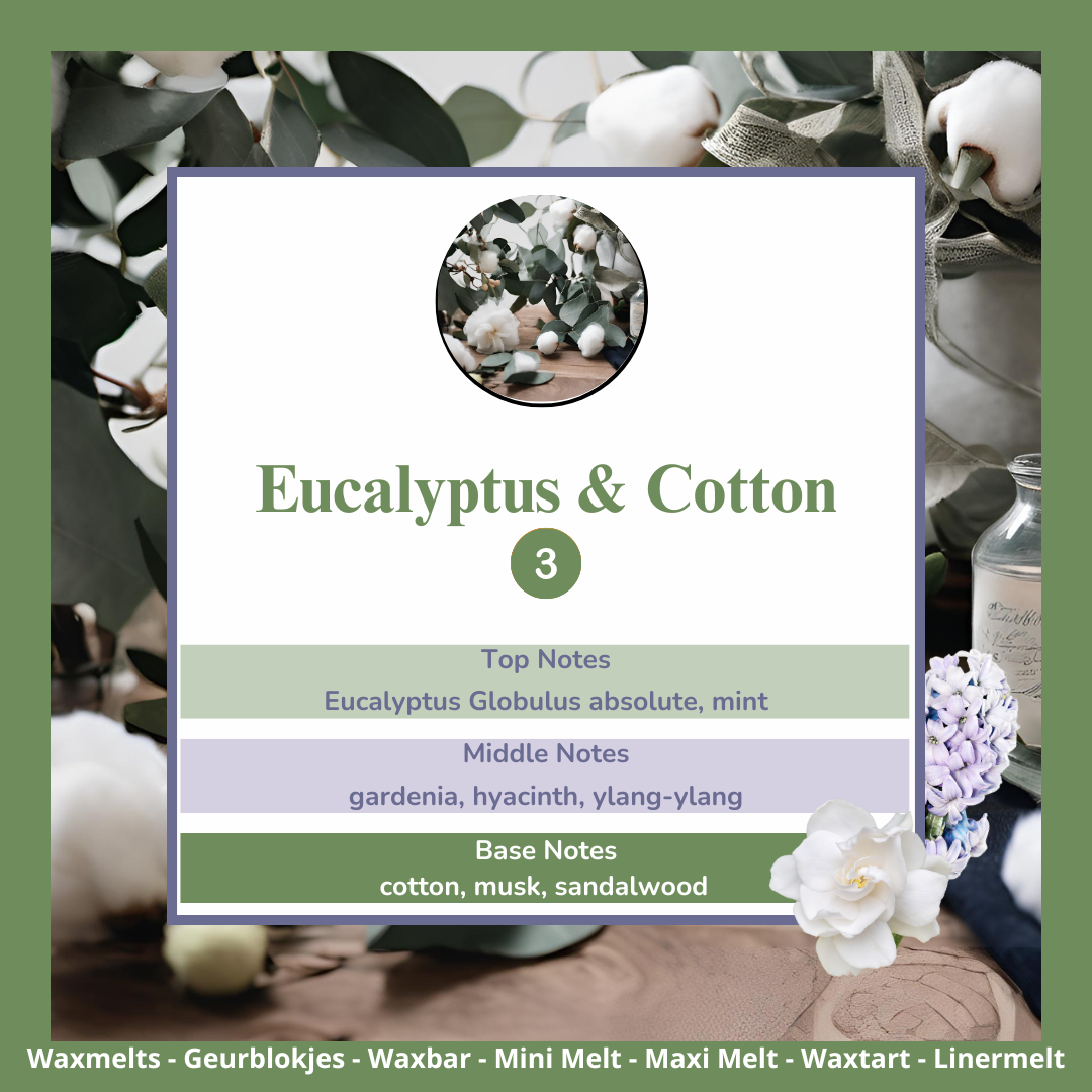 Waxmelts - Eucalyptus & Cotton