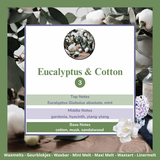Waxmelts - Eucalyptus & Cotton