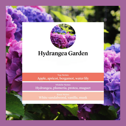 Waxmelts - Hydrangea Garden