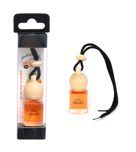 Autoparfum Car Air Freshener - Sinaasappel & Kaneel 🚗🍊