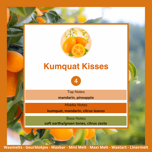 Waxmelts - Kumquat Kisses