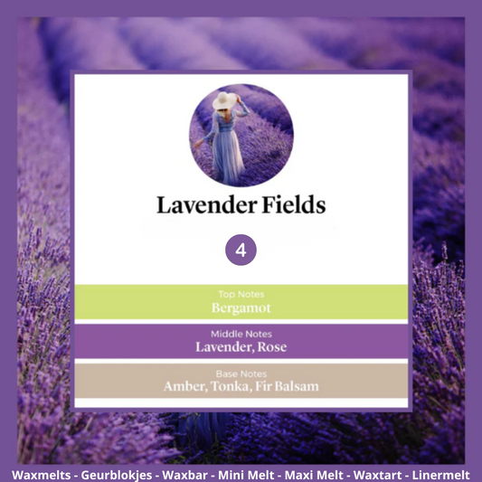 Waxmelts - Lavender Fields