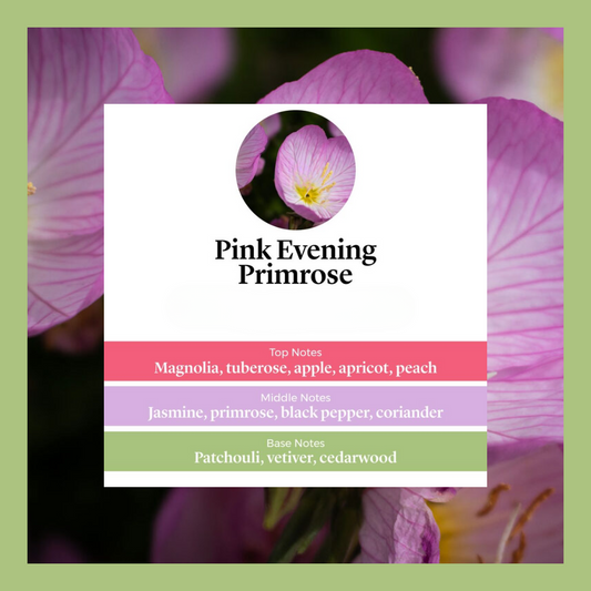 Waxmelts - Pink Evening Primrose