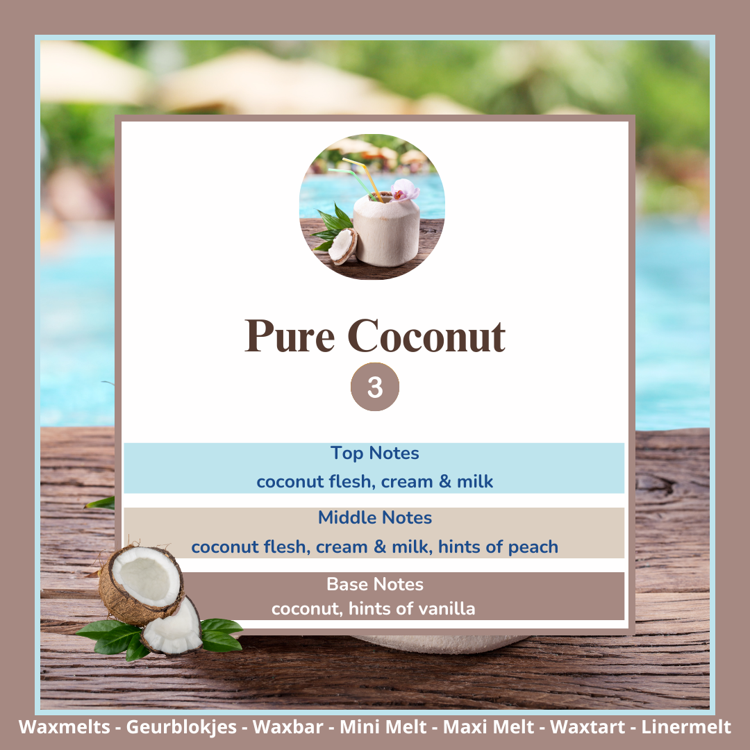Waxmelts - Pure Coconut