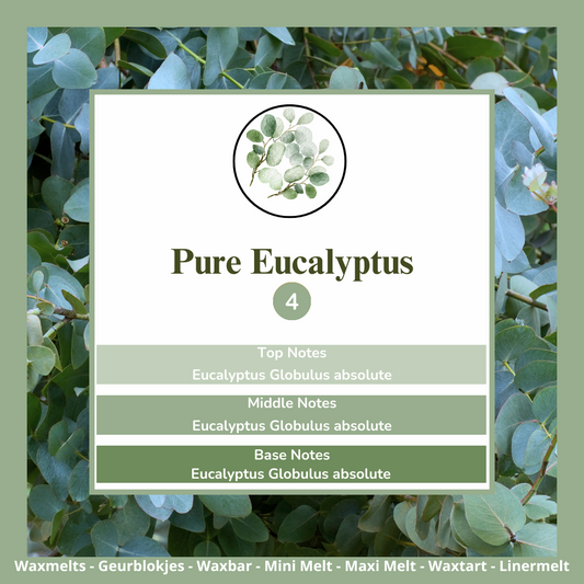 Waxmelts - Pure Eucalyptus