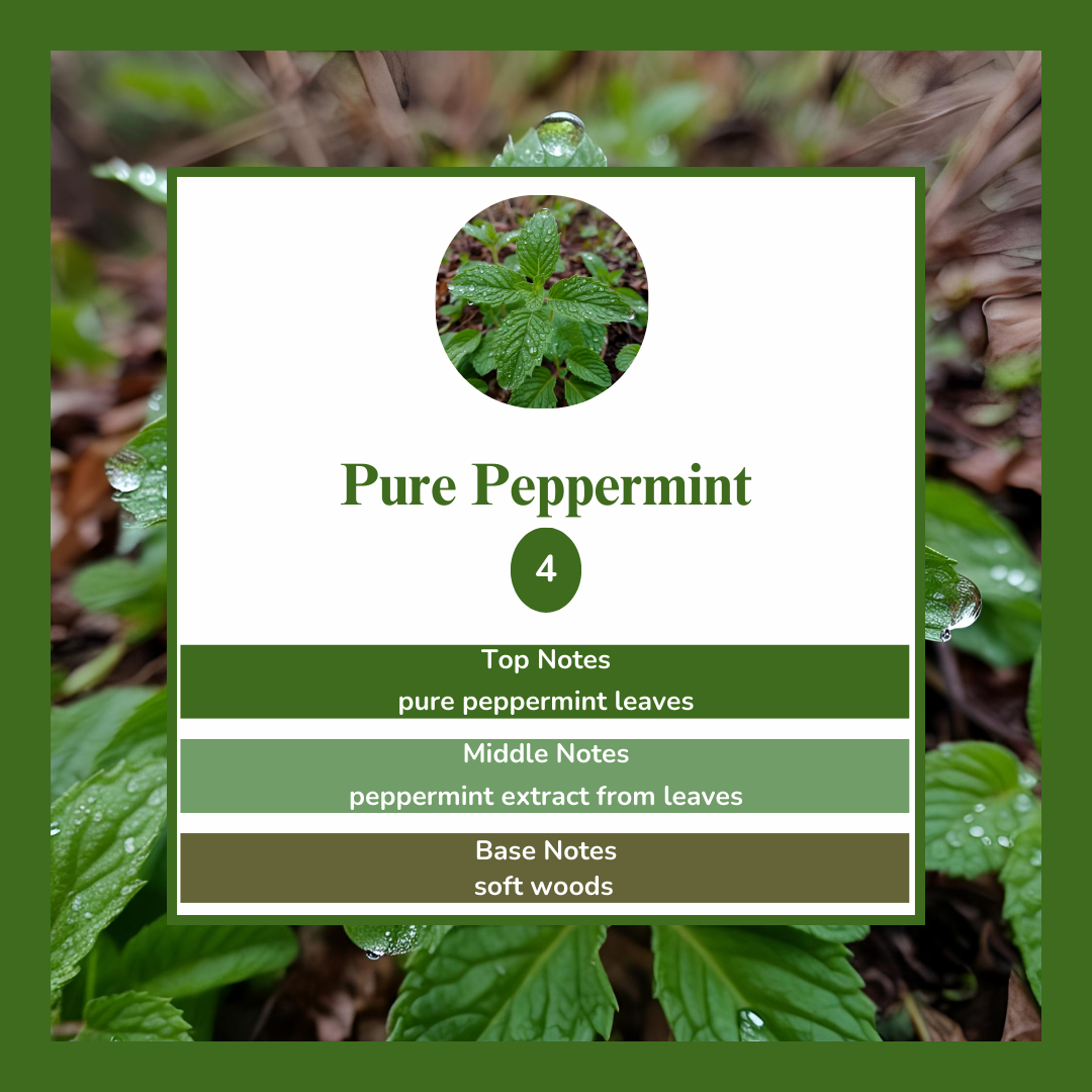 Waxmelts - Pure Peppermint
