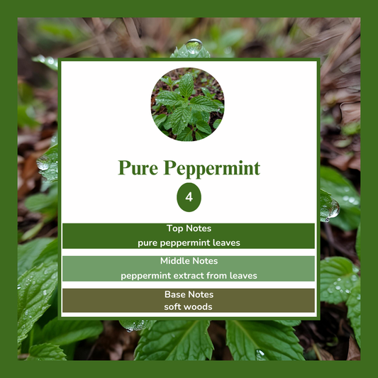 Waxmelts - Pure Peppermint