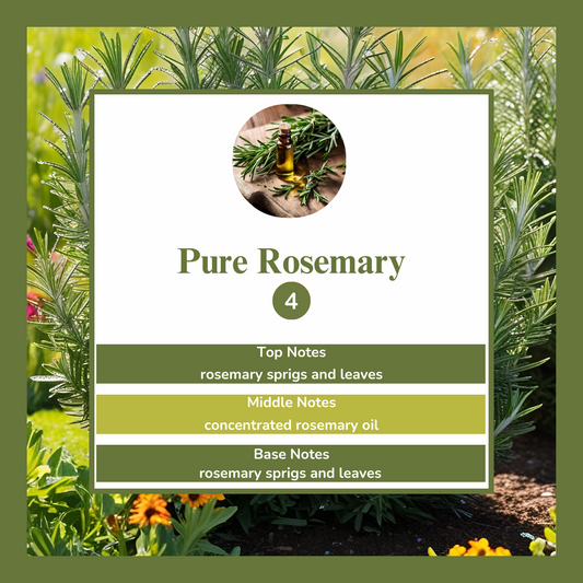 Waxmelts - Pure Rosemary