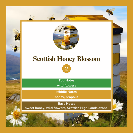 Waxmelts - Scottish Honey Blossom