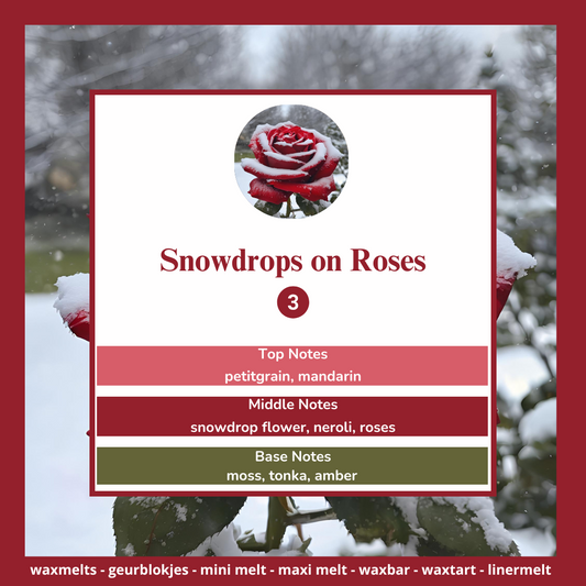Waxmelts - Snowdrops & Roses