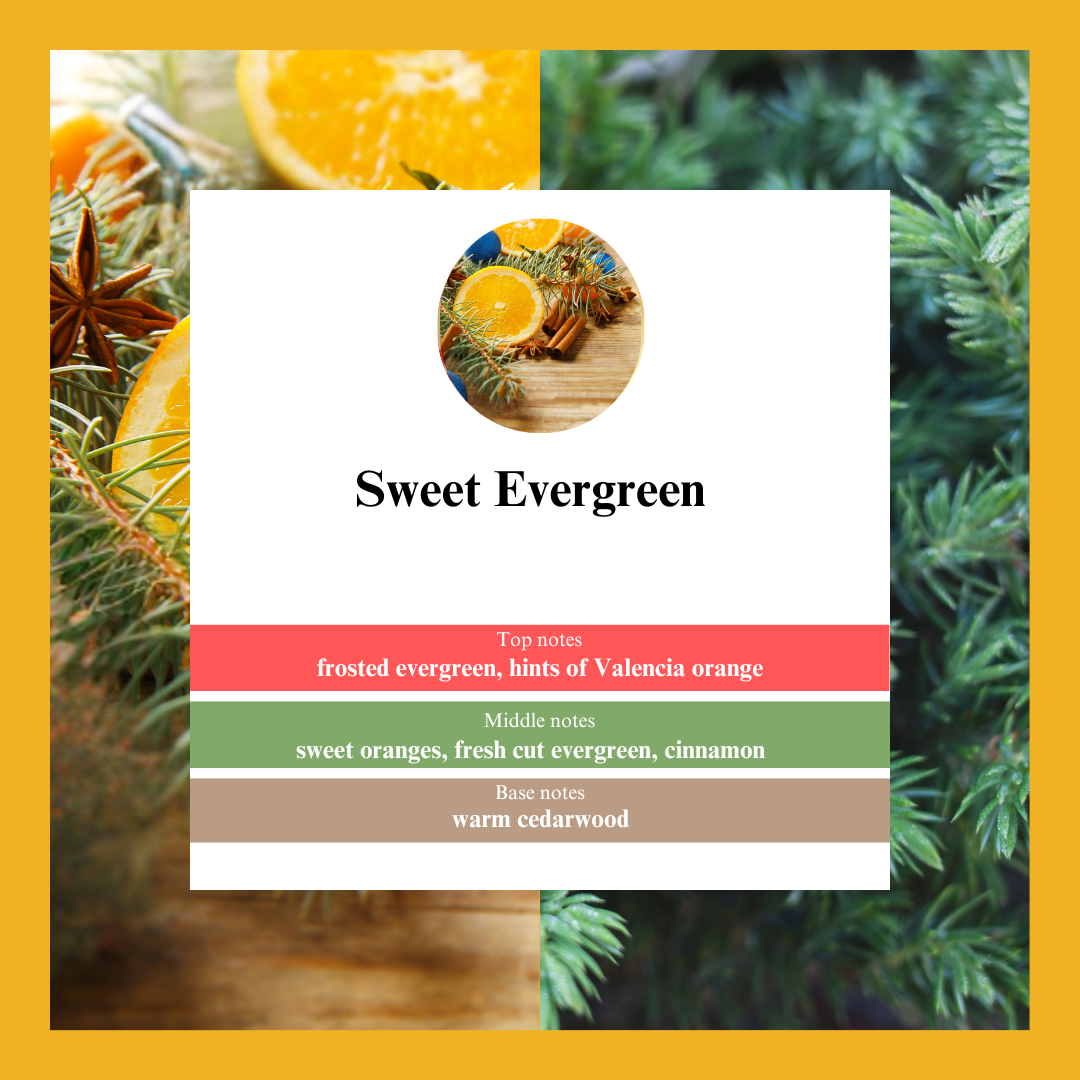 Waxmelts - Sweet Evergreen