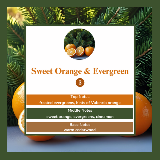 Waxmelts - Sweet Orange & Evergreen