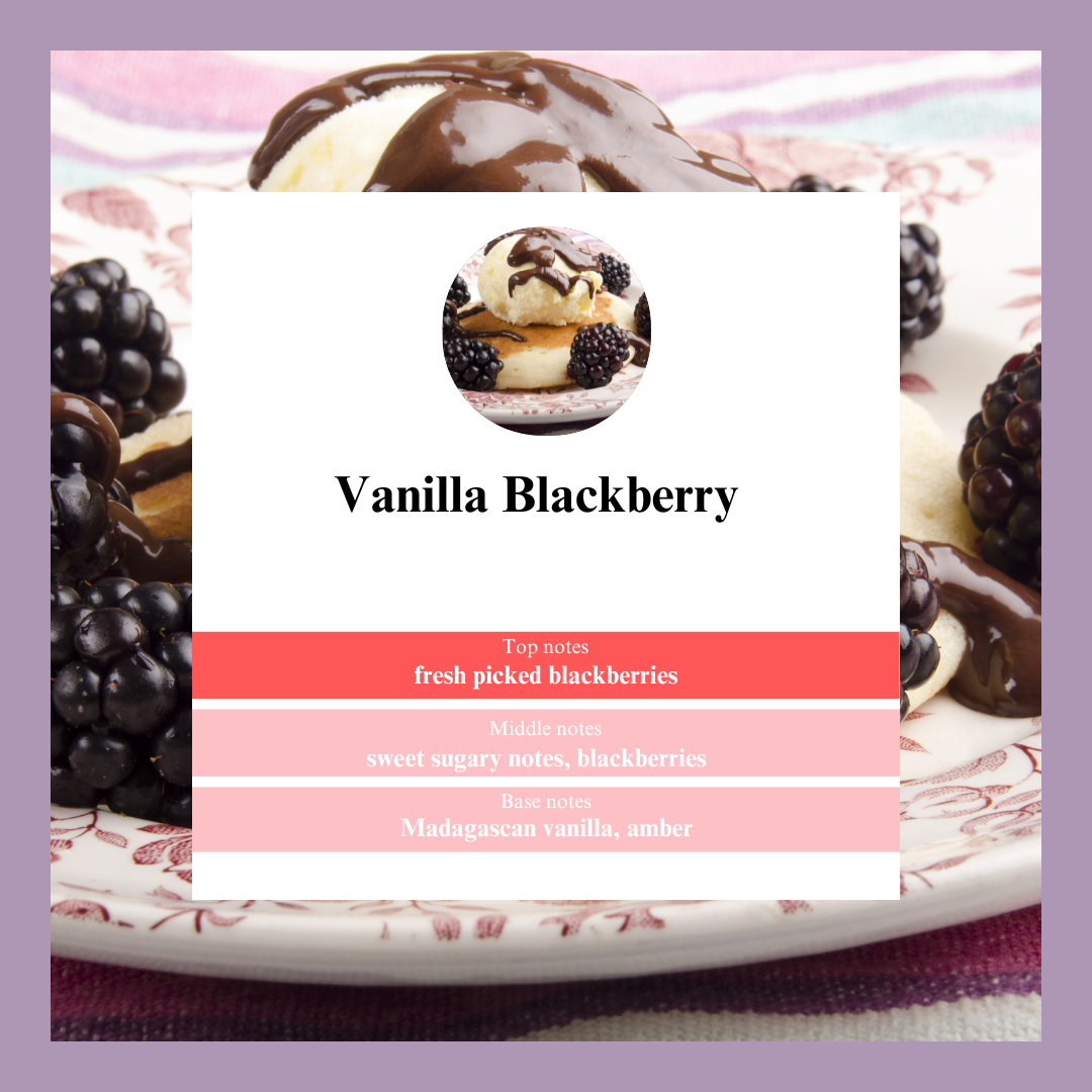 Waxmelts - Vanilla Blackberry