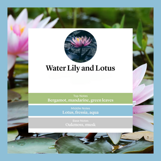 Waxmelts - Water Lily & Lotus Flower