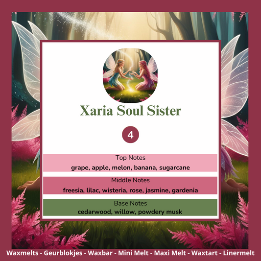 Waxmelts - Xaria Soul Sister