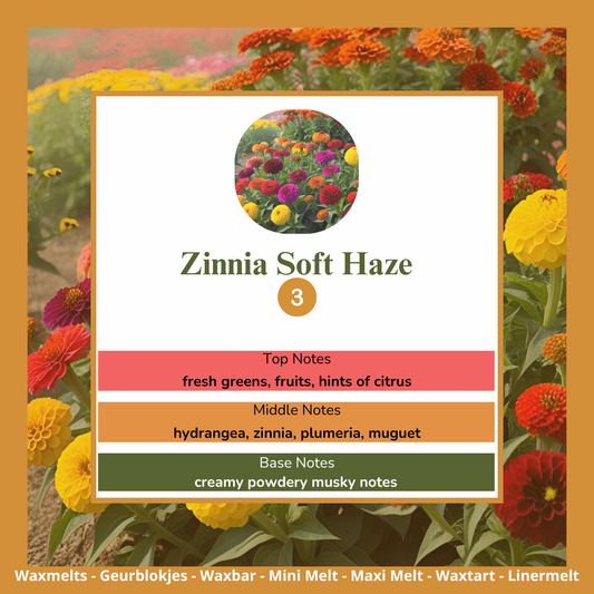 Waxmelts - Zinnia Soft Haze